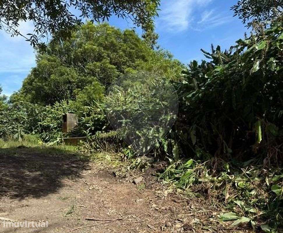 Terreno  para venda - Grande imagem: 5/5