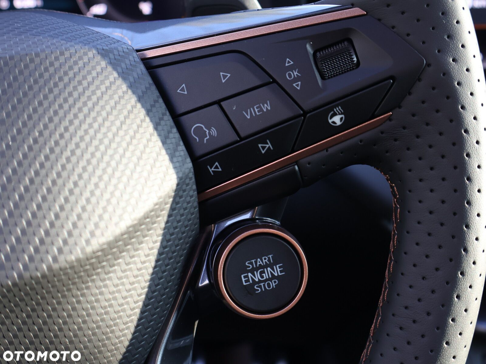 Cupra Terramar 2.0 TSI 4Drive DSG - 24