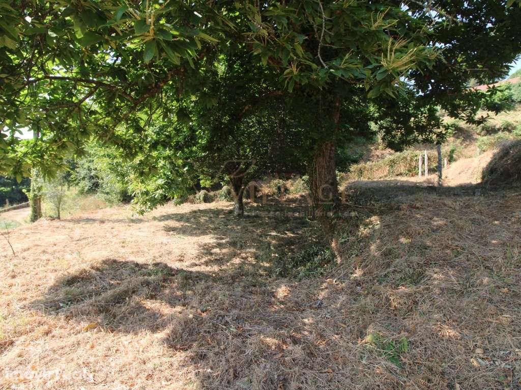 Moradia - Grande imagem: 4/13