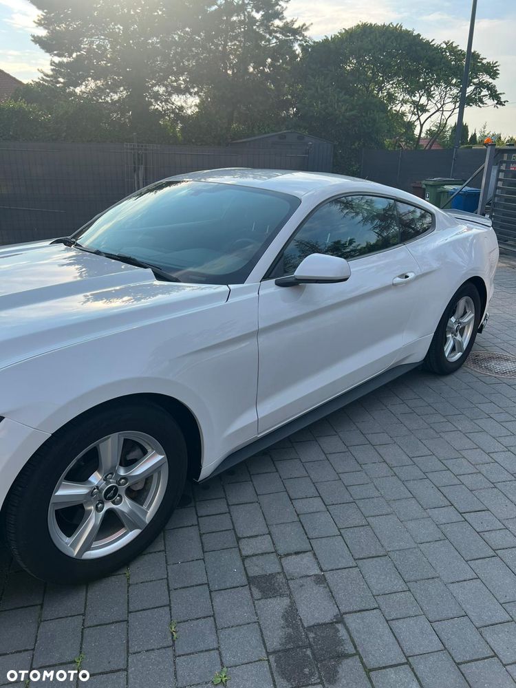 Ford Mustang 3.7 V6 - 5