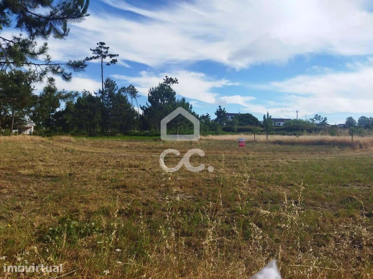 Terreno  Venda em Vieira de Leiria,Marinha Grande - Grande imagem: 5/10