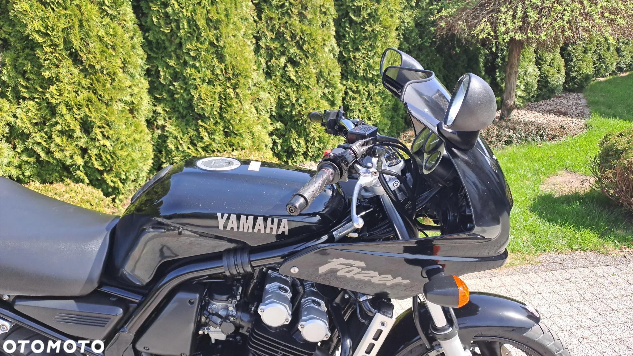 Yamaha FZS - 10