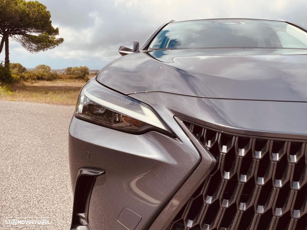Lexus NX 450h+ Executive - 17