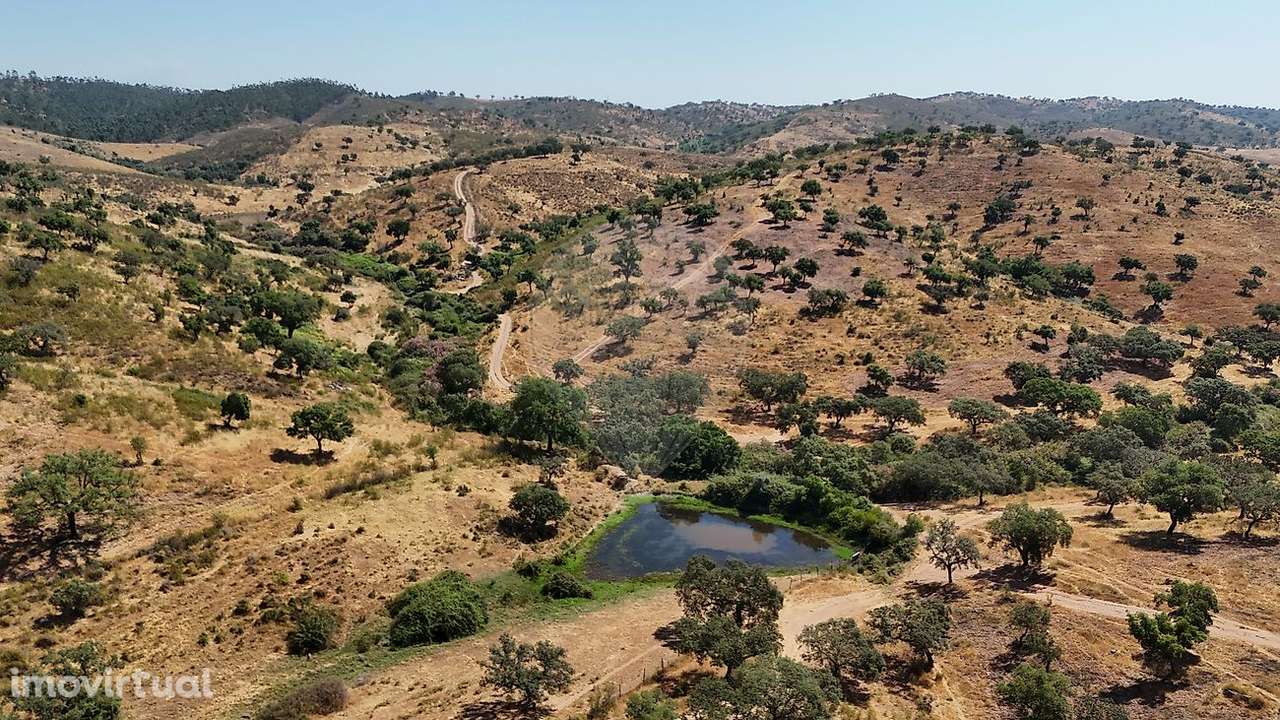 Quinta T4 para venda - Grande imagem: 5/9