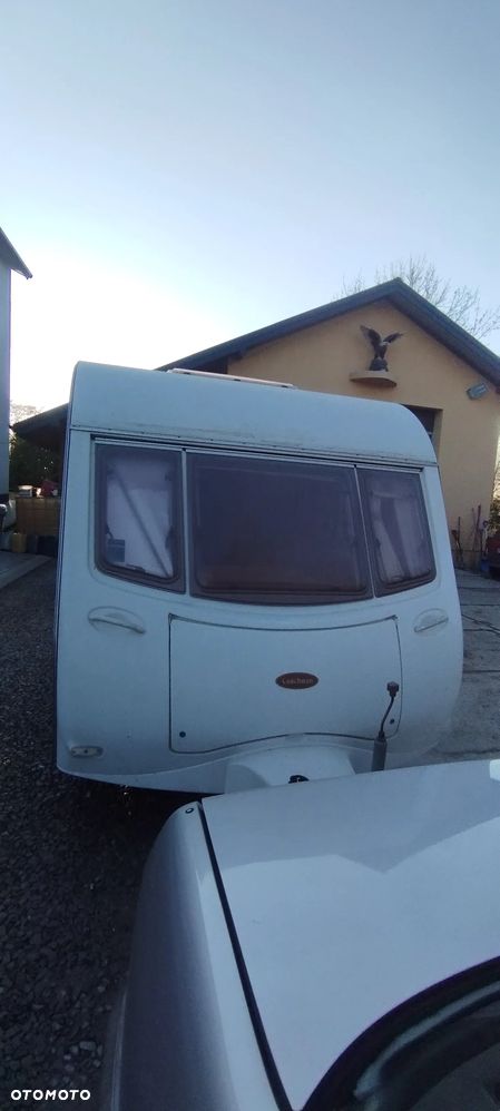 Coachman Amara - 16