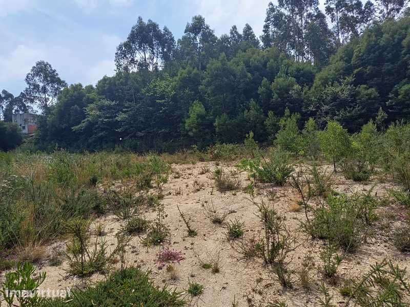 Alugo Arrendo terreno - Grande imagem: 4/4
