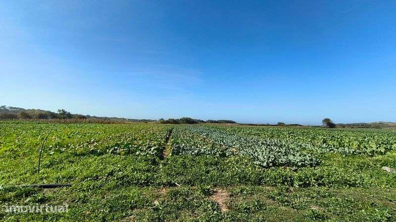 Terreno Agrícola para Venda - Grande imagem: 4/5