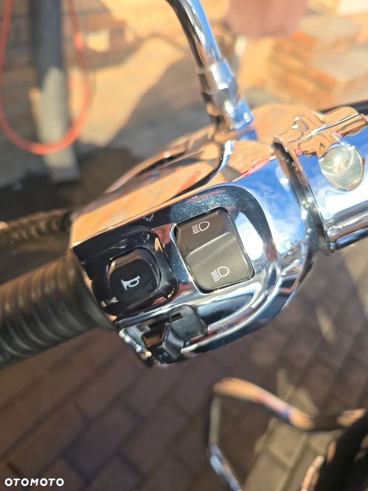 Indian Springfield - 8