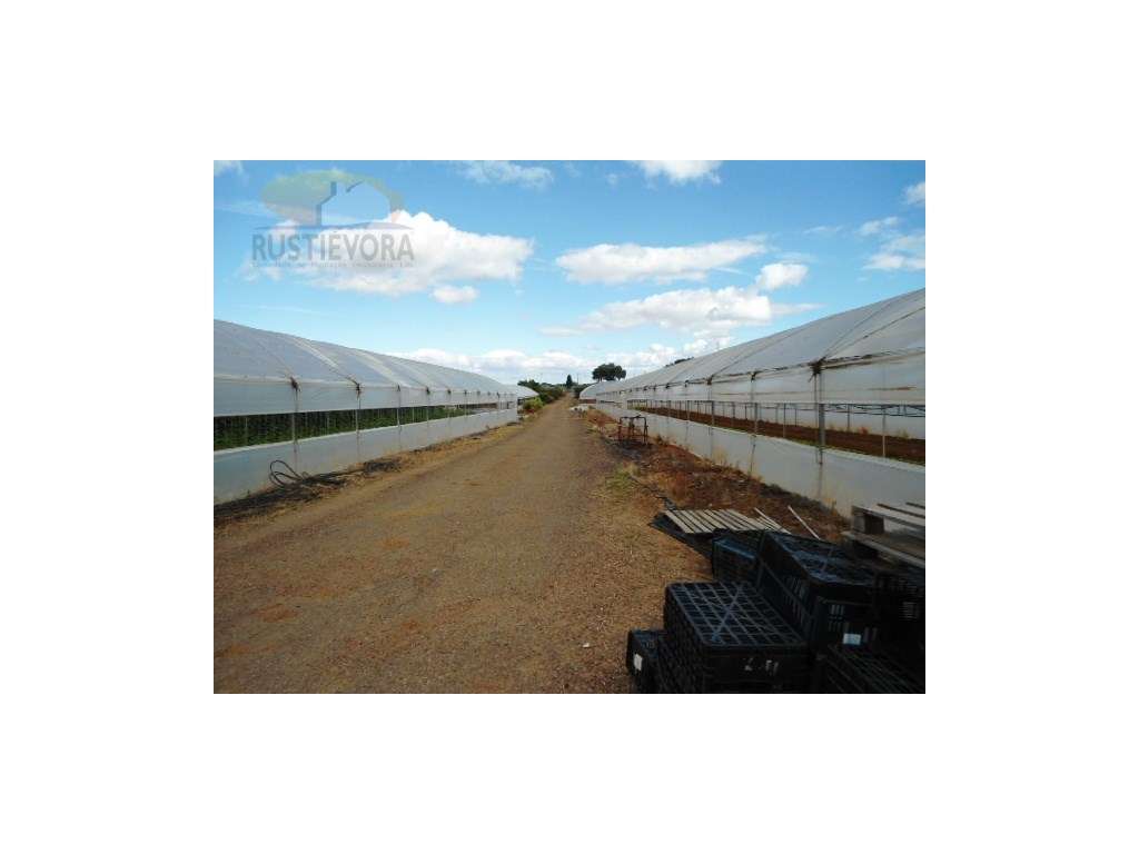OPORTUNIDADE | Terreno com estufas e armazém para exploração agríco... - Grande imagem: 2/60