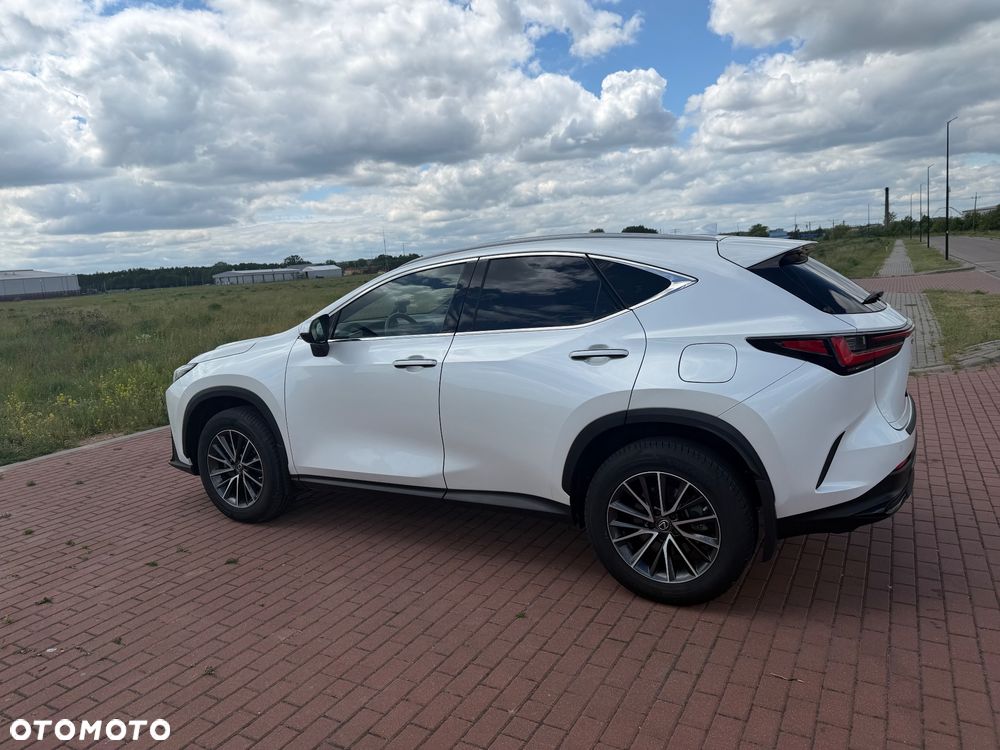Lexus NX - 3