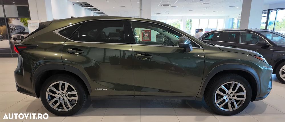 Lexus Seria NX 350h AWD CVT HEV Executive - 10