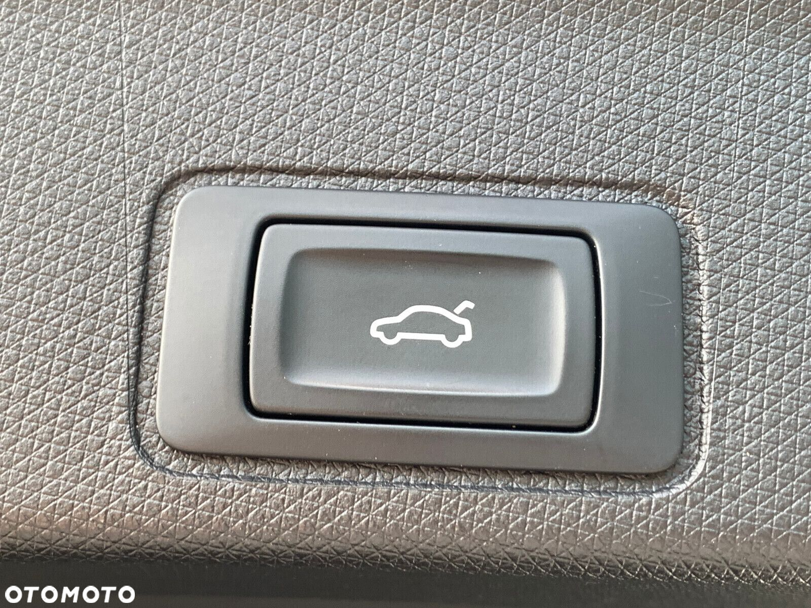 Cupra Terramar - 34