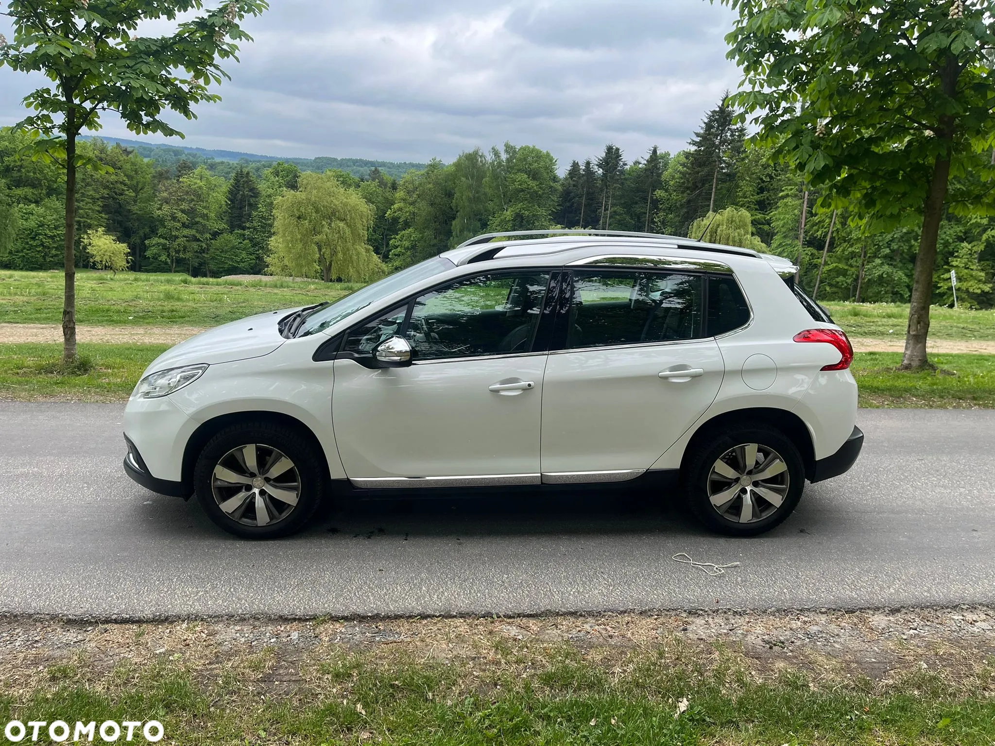 Peugeot 2008 1.2 Pure Tech Style EU6 - 4