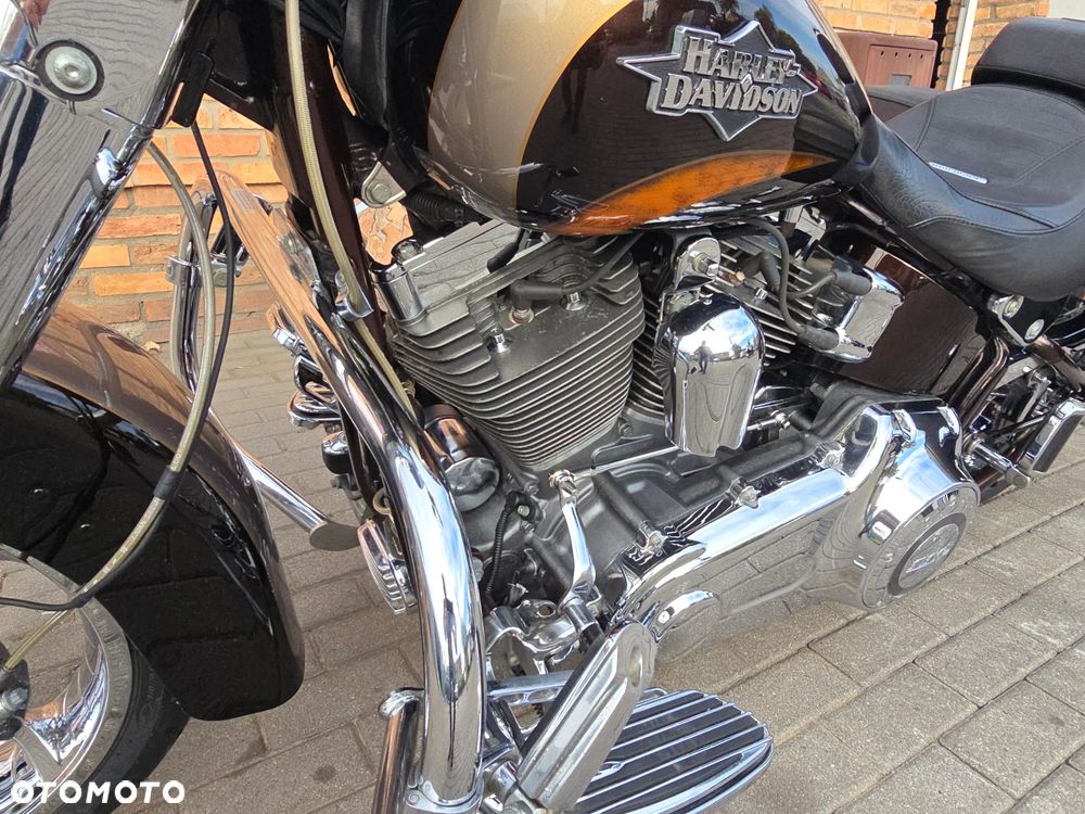 Harley-Davidson Softail - 22