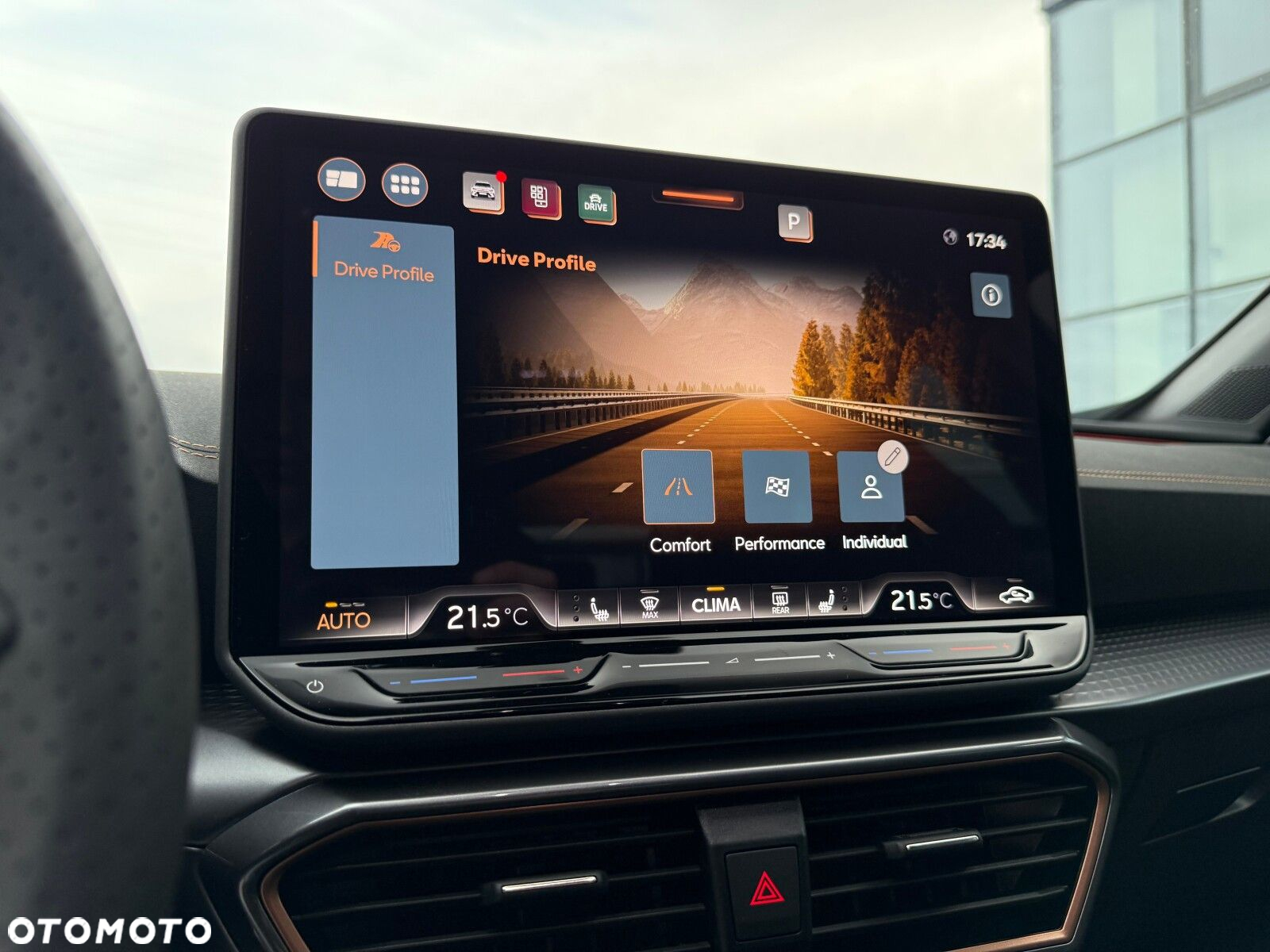 Cupra Formentor 2.0 TDI DSG - 30