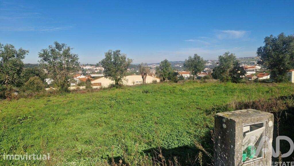 Terreno para construção em Batalha - Grande imagem: 3/25