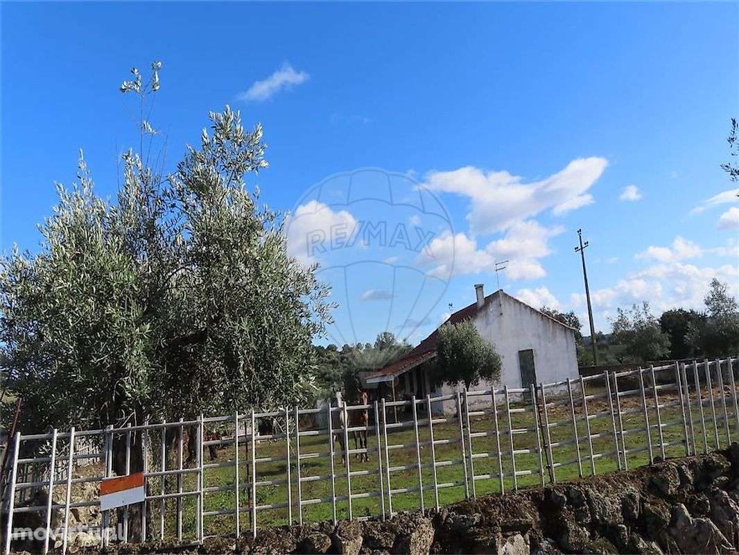 Quinta T3 para venda - Grande imagem: 4/26