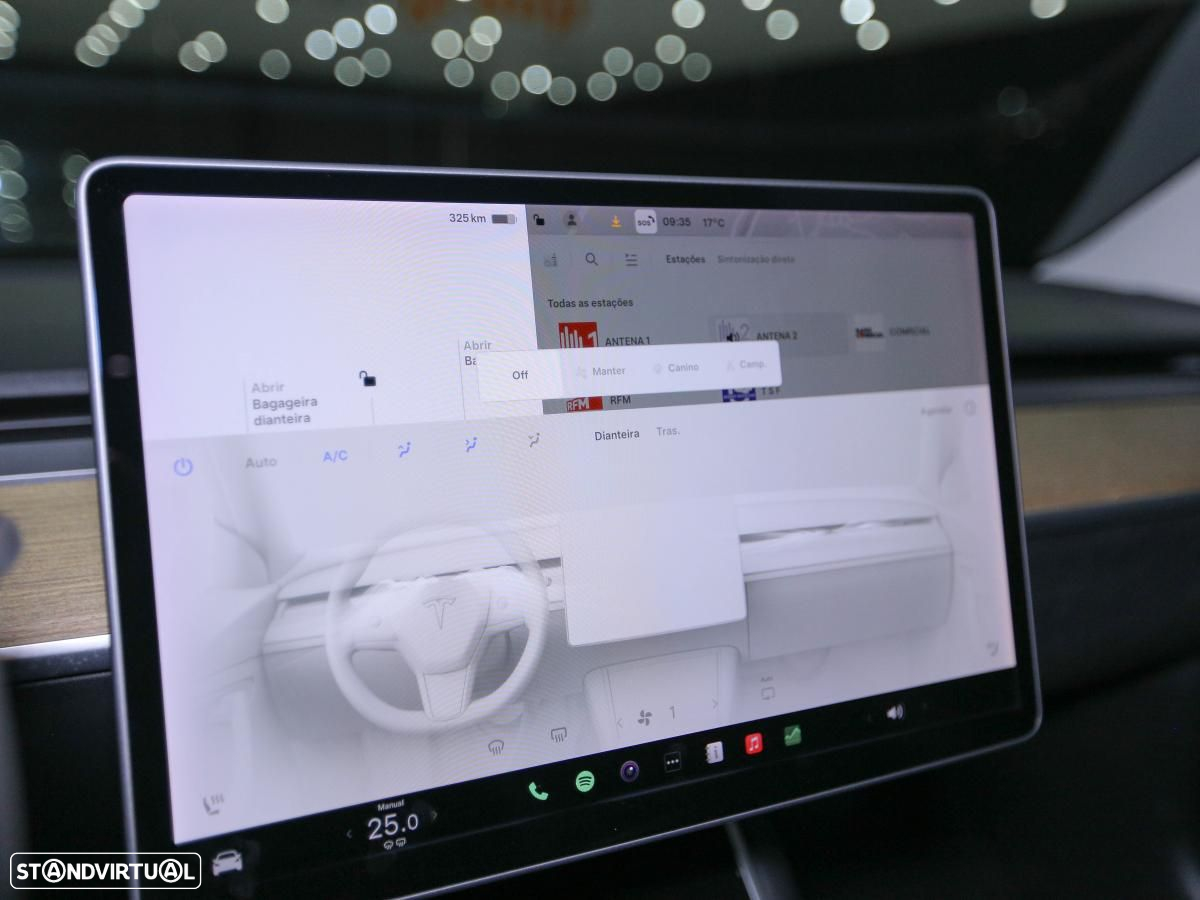 Tesla Model 3 Performance Dual Motor AWD - 19