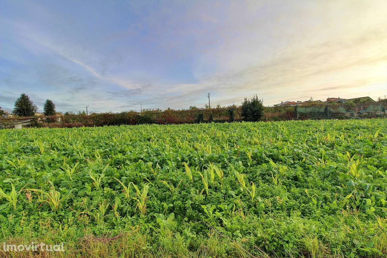 Terreno  Venda em Guilhabreu,Vila do Conde - Grande imagem: 4/7