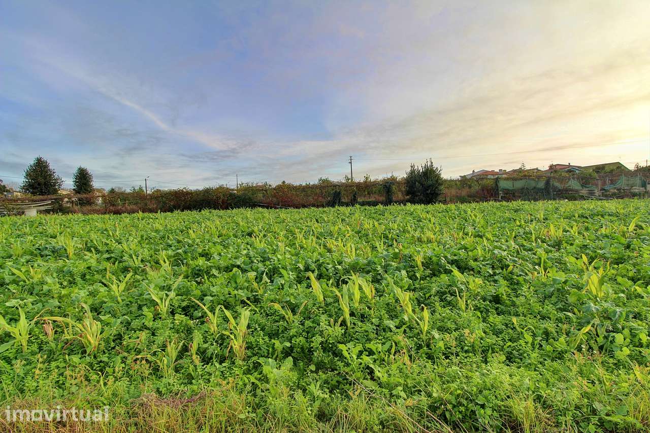 Lote de Terreno  Venda em Guilhabreu,Vila do Conde - Grande imagem: 4/7