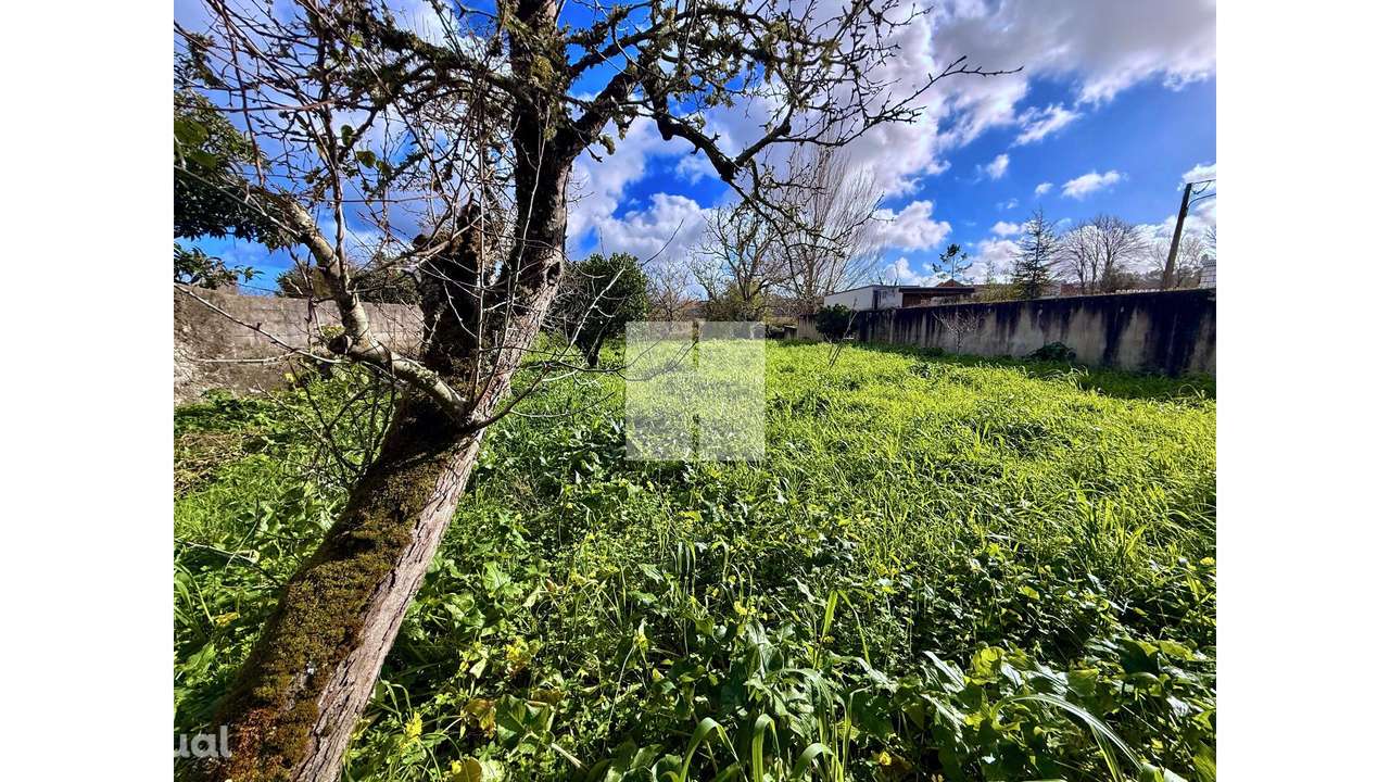 Moradia Senhorial T6 - Grande imagem: 4/49