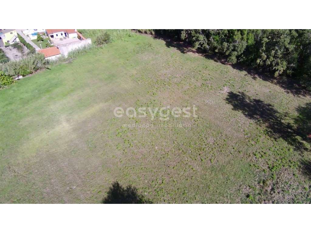 Terreno para construção perto do centro de Carvide- Monte Real - Grande imagem: 5/17