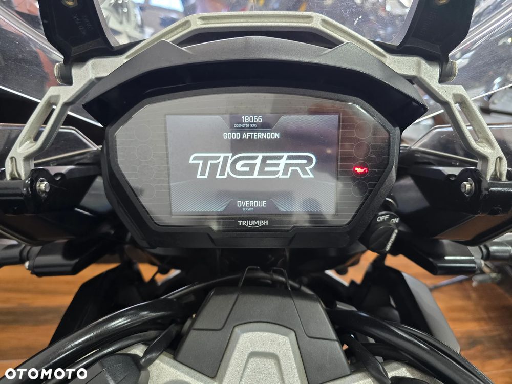 Triumph Tiger - 4