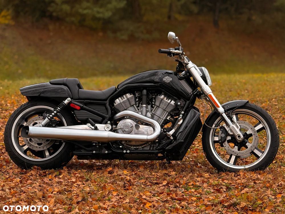 Harley-Davidson V-Rod Muscle - 2