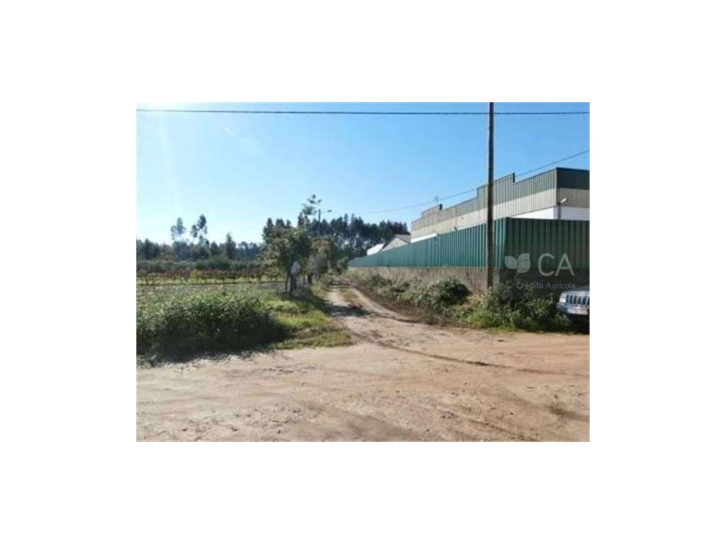 Terreno com possibilidade de construção - Grande imagem: 3/5