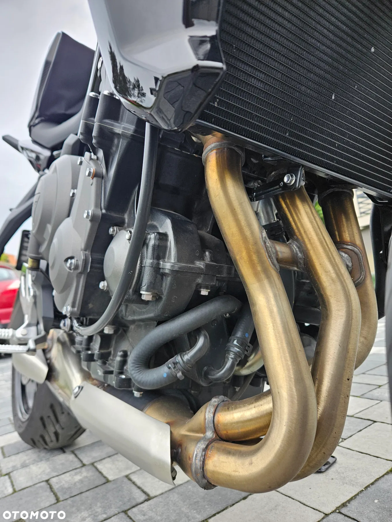 Triumph Tiger - 6