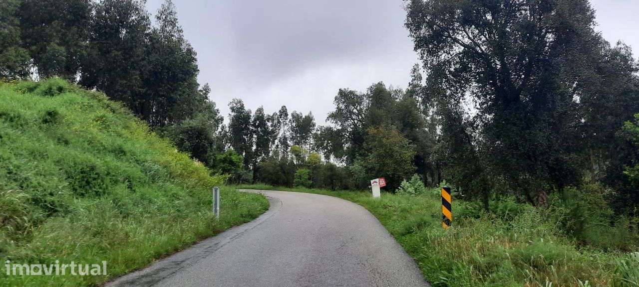 Terreno 1.200 m2 V. Nova de Barquinha -Santarém - Grande imagem: 2/9