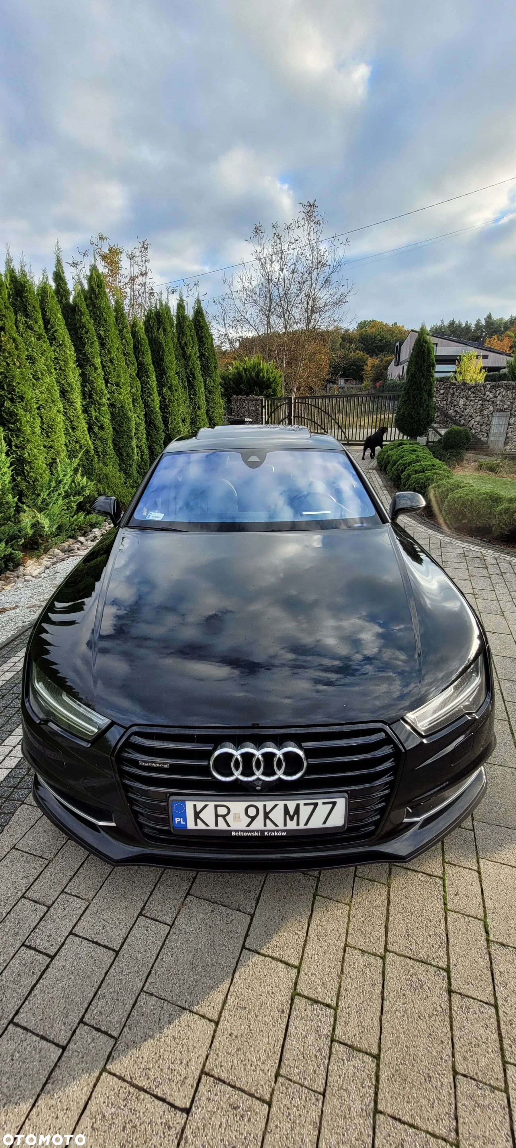 Audi A7 Sportback 3.0 TDI competition quattro tiptronic - 10