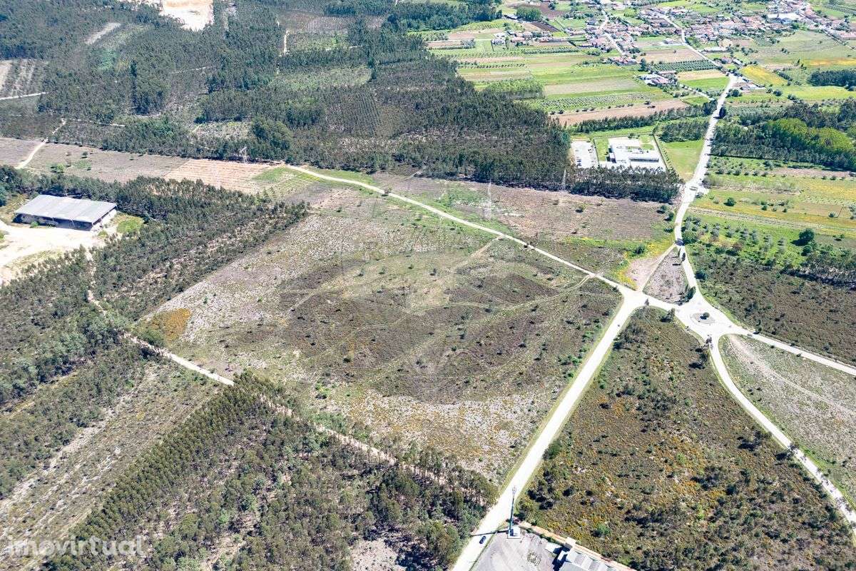 Terreno  para venda - Grande imagem: 3/4