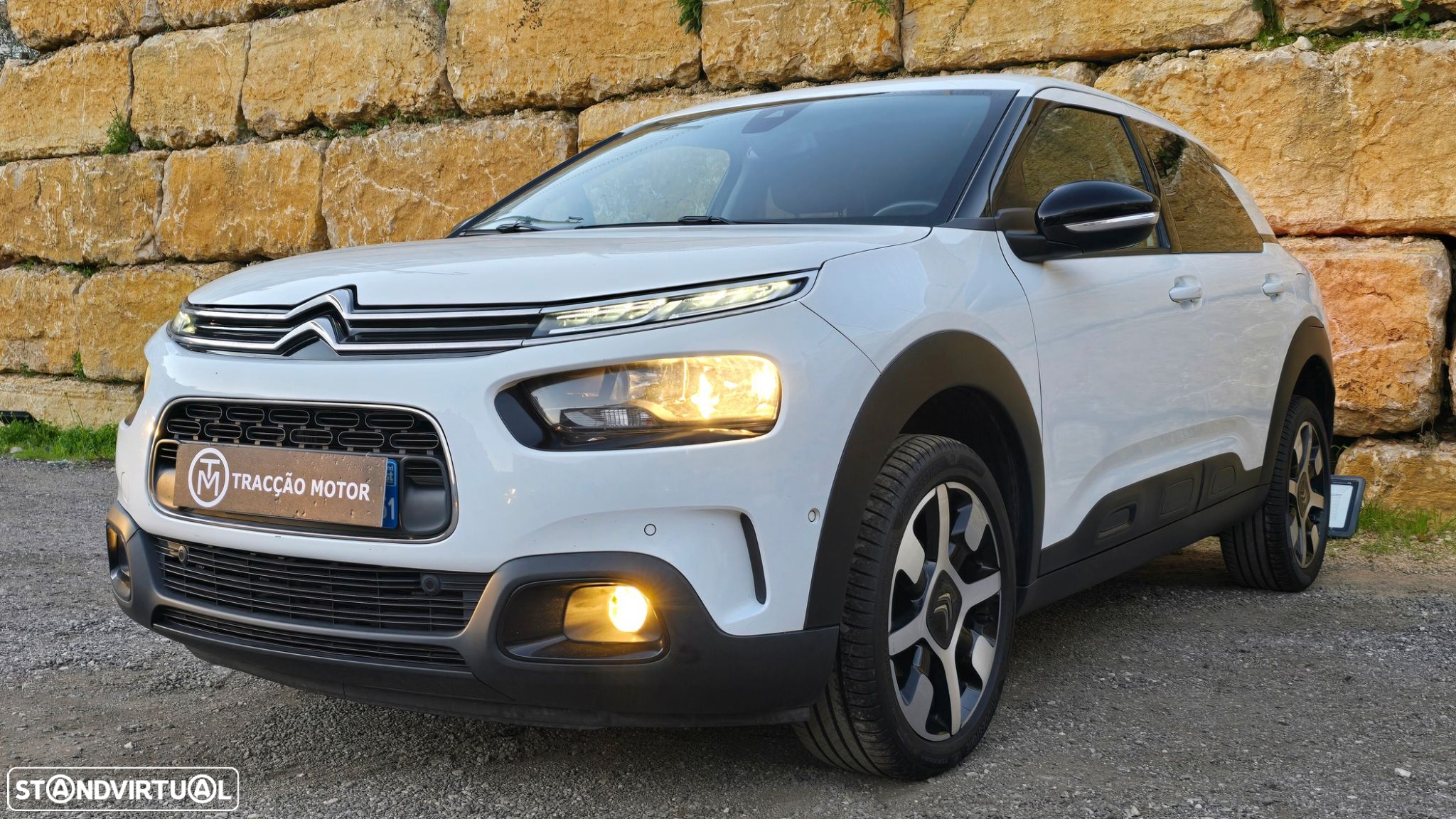 Citroën C4 Cactus 1.5 BlueHDi Shine - 49