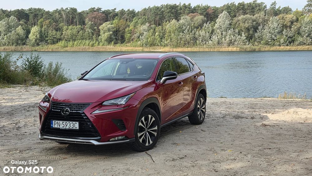 Lexus NX 300 F Impression AWD - 6