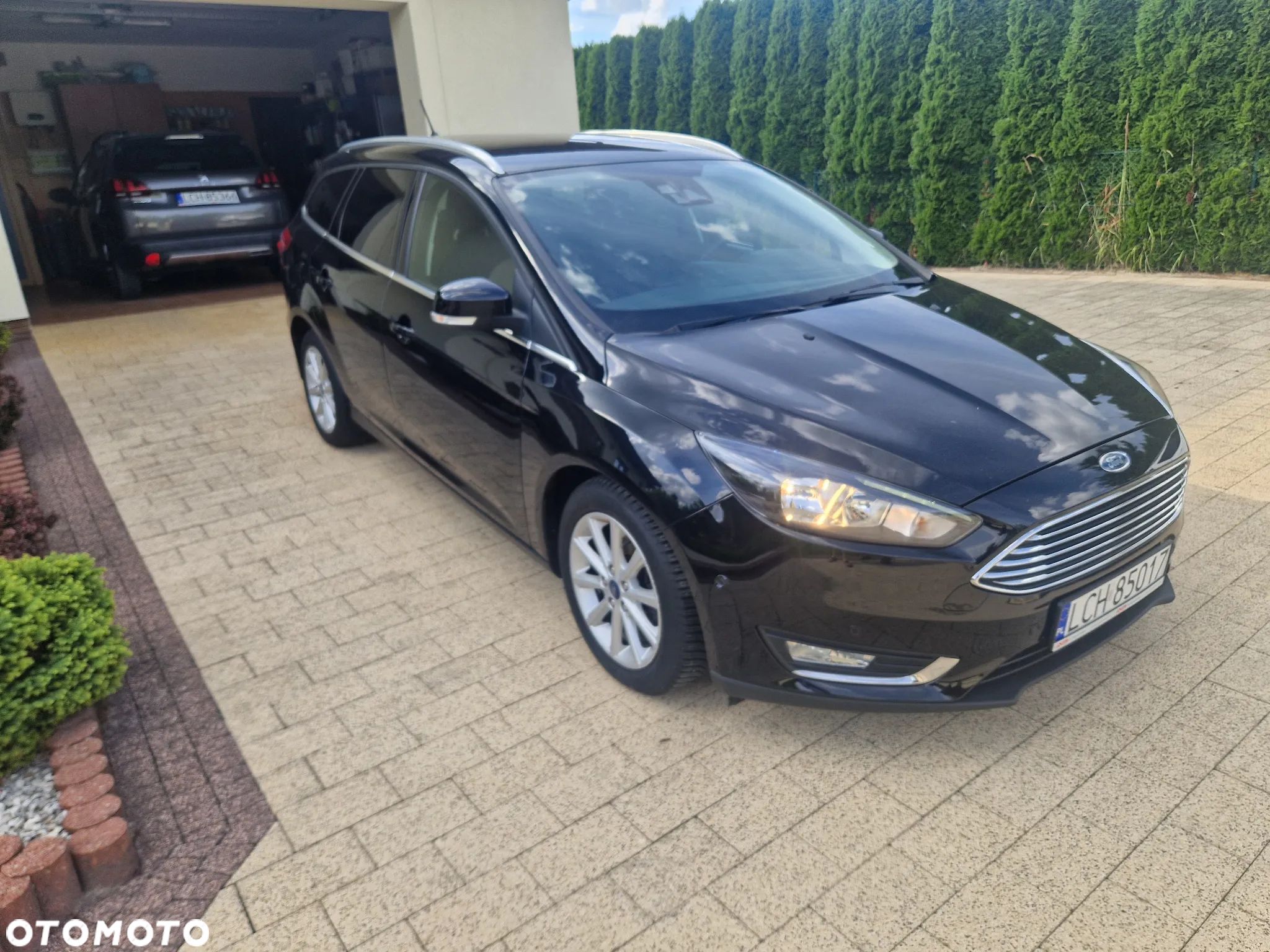 Ford Focus - 1