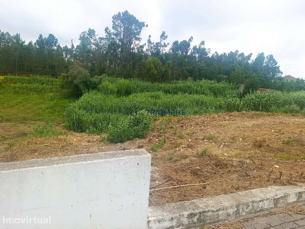 Terreno Rústico Urbanizável com 3274 m2 em Pelariga, Pombal - Grande imagem: 4/6
