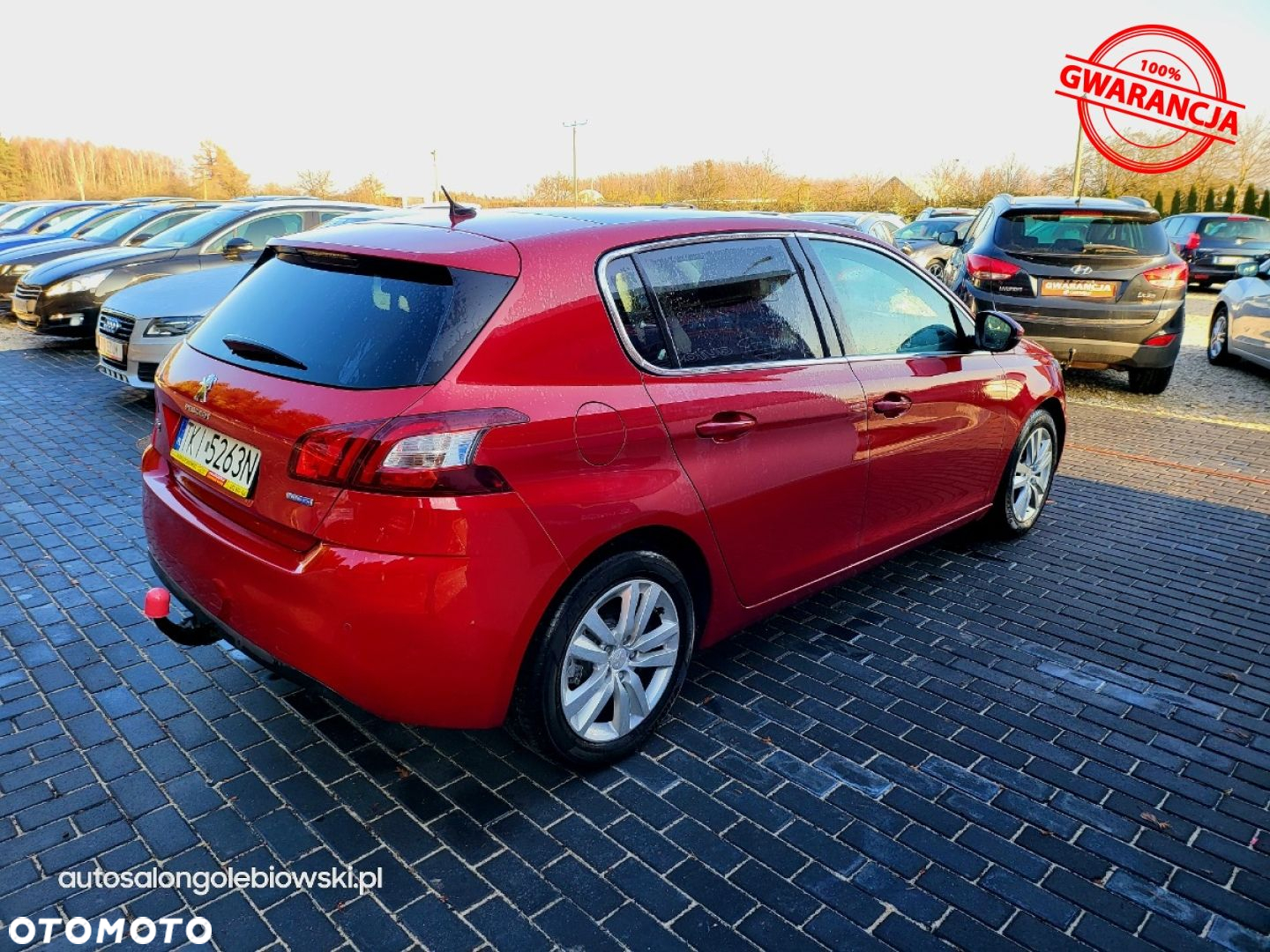 Peugeot 308 - 9