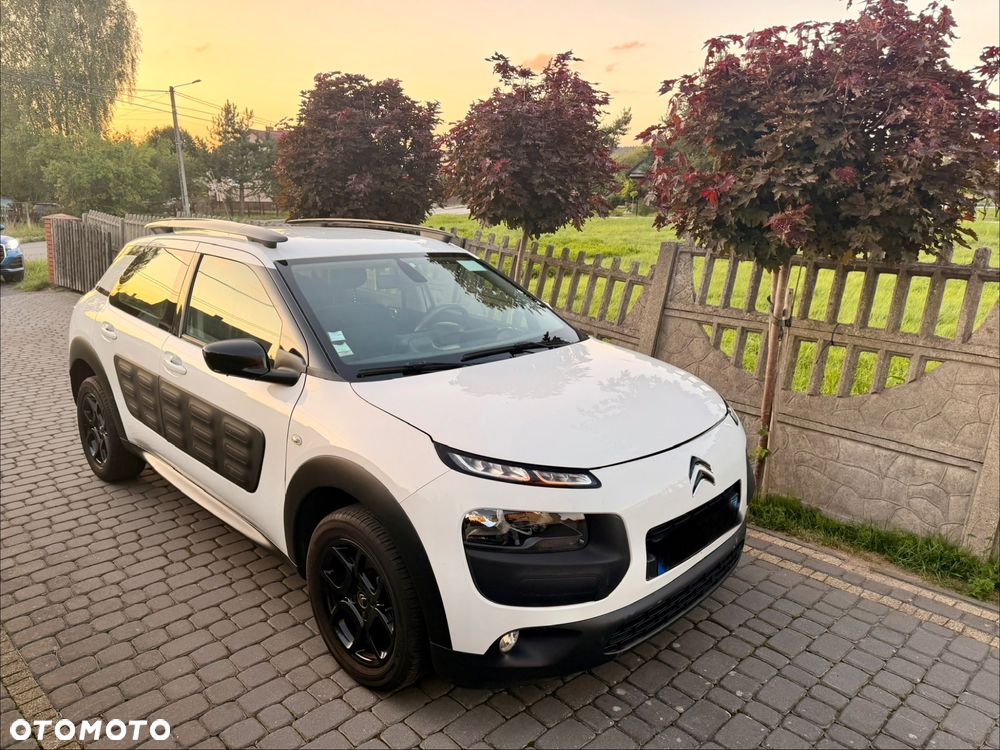 Citroën C4 Cactus PureTech 82 Business Class - 2