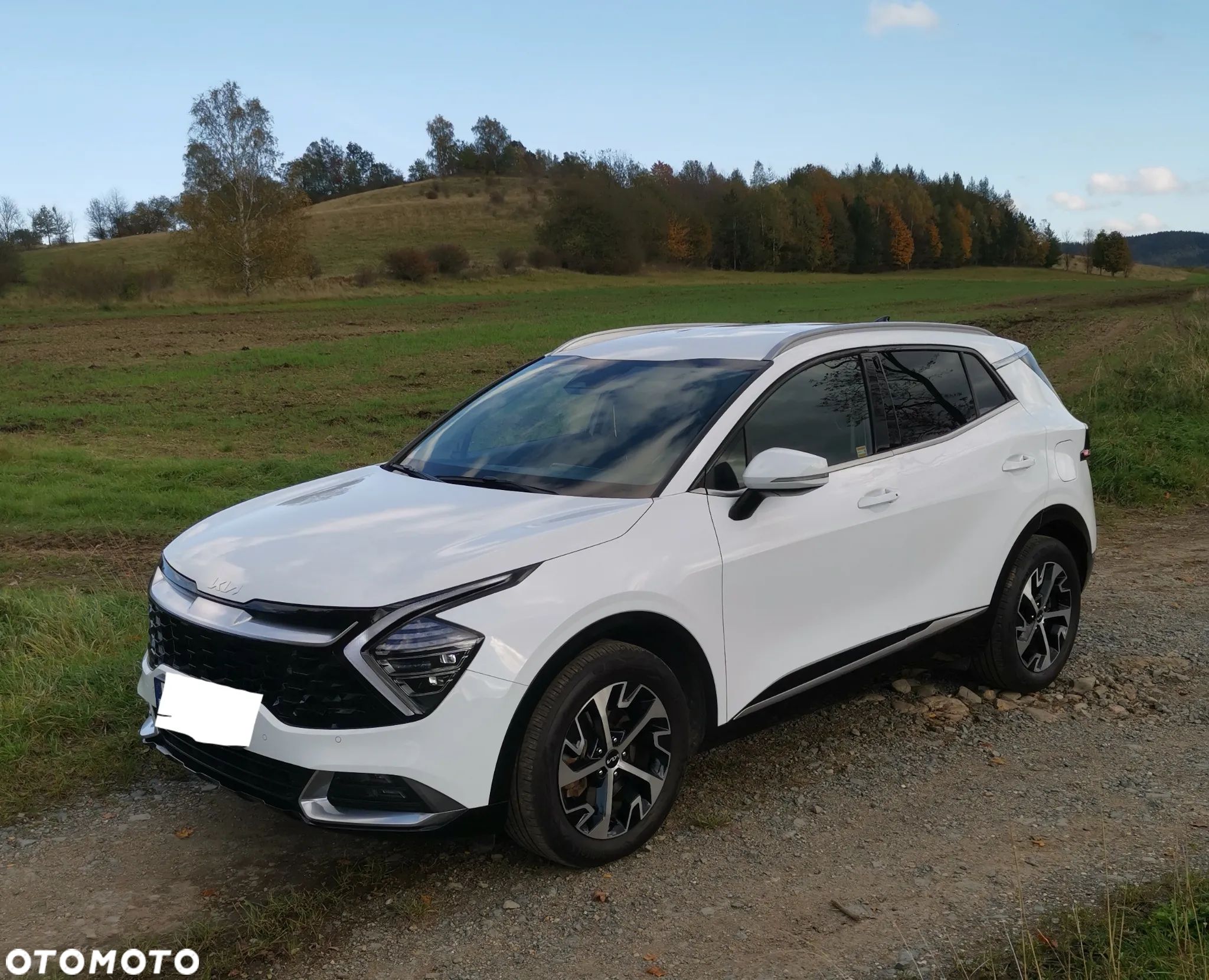Kia Sportage 1.6 T-GDI Business Line 2WD - 1