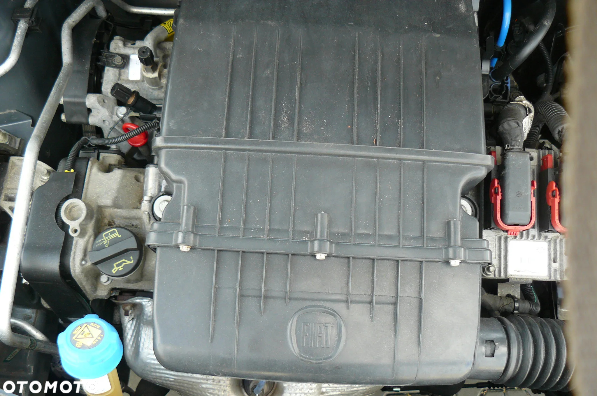 Fiat 500 - 37