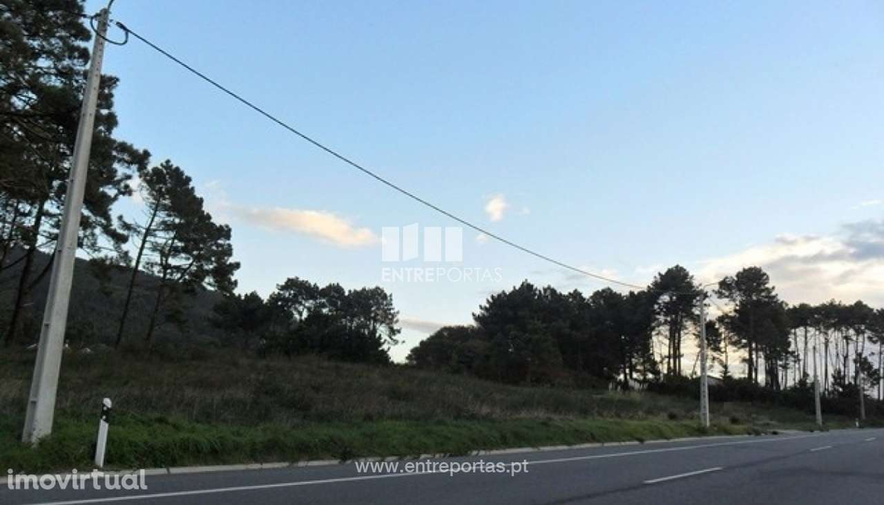 Terreno - Carreço - Grande imagem: 3/4