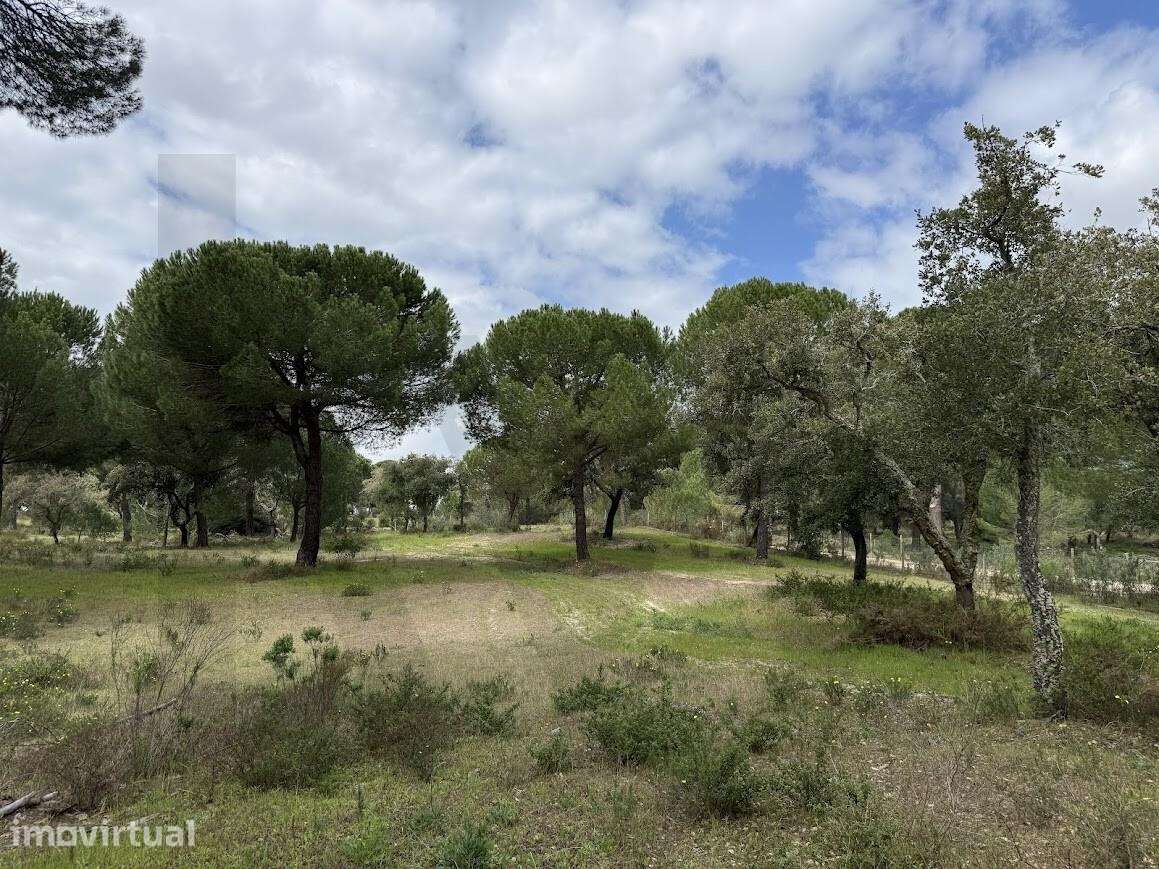Exclusividade e Natureza: Terreno de Prestígio na Mata do Duque II - S - Grande imagem: 5/21