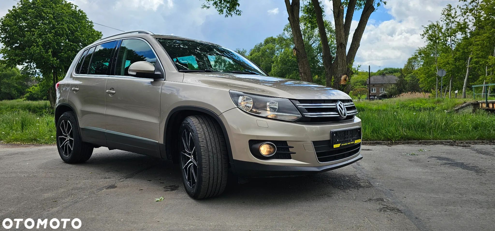 Volkswagen Tiguan - 1