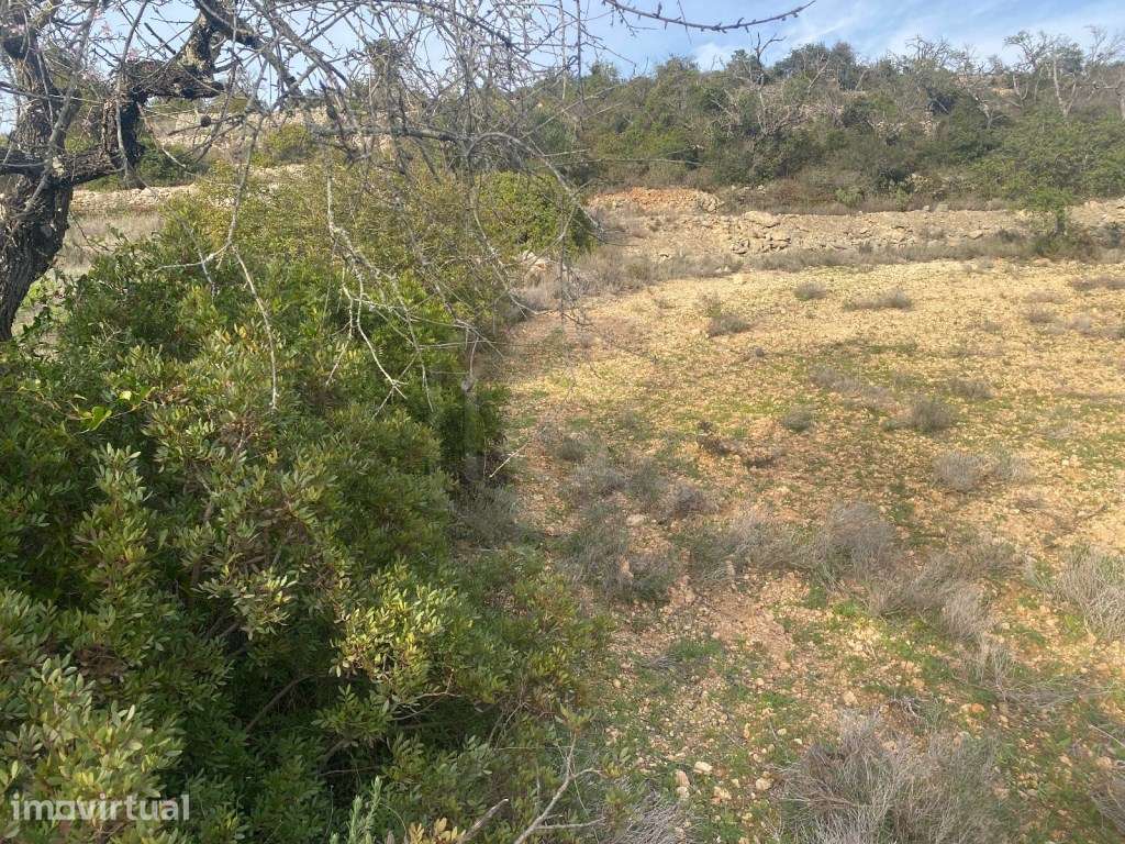 Terreno rústico com 3300m2, Loulé, Algarve - Grande imagem: 3/14
