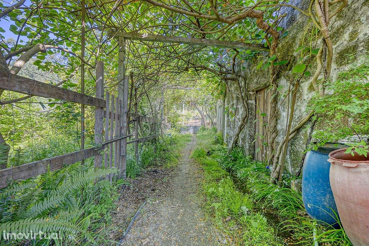 Quinta T2 para venda - Grande imagem: 3/34