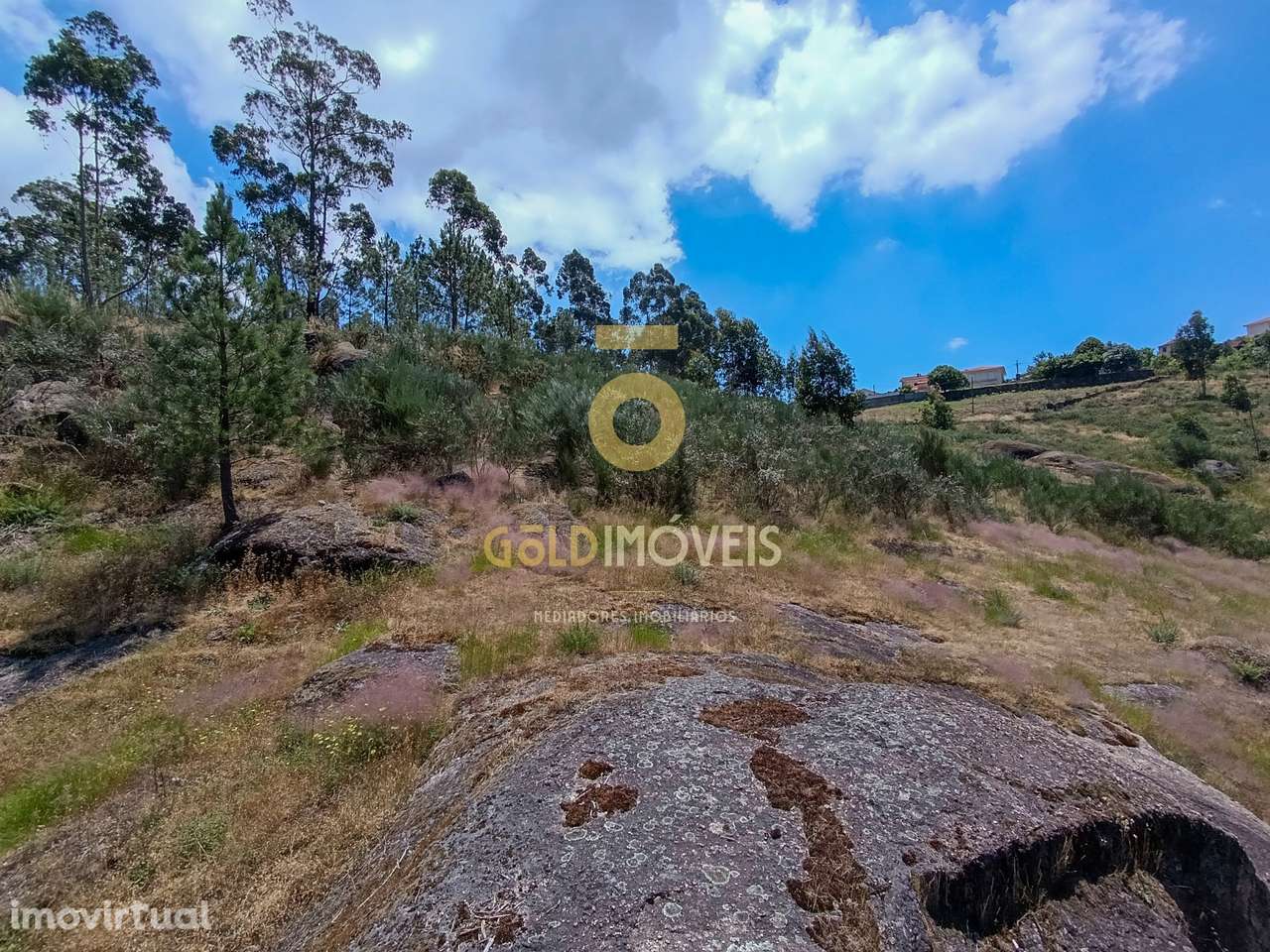 Terreno Rústico  Venda em Vila Boa de Quires e Maureles,Marco de Canav - Grande imagem: 4/7