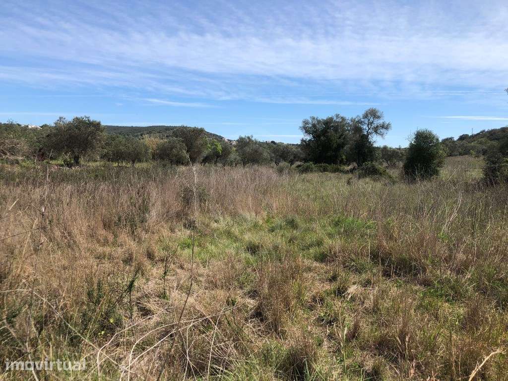 Lote de terreno rústico, Loulé, Algarve - Grande imagem: 4/11