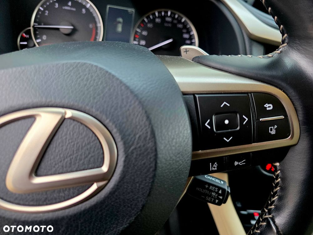 Lexus RX 300 Business Edition - 12