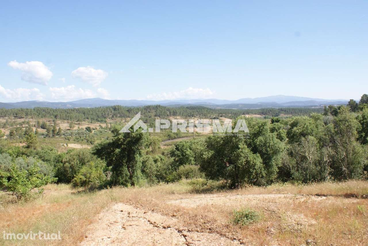 Excelente terreno agrícola para venda em Cabeço do Infante, Sarzedas - Grande imagem: 4/29